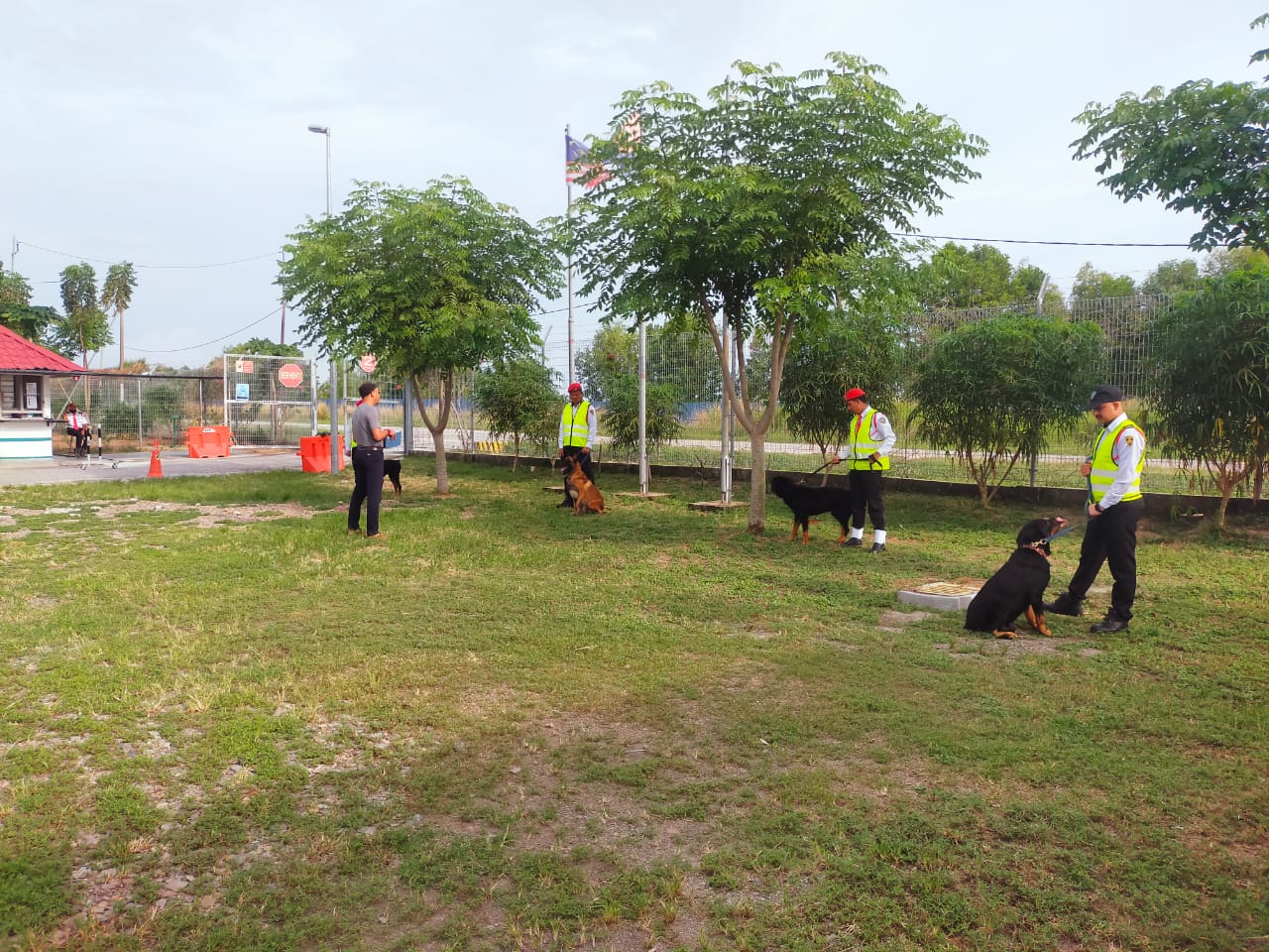 K9 Unit